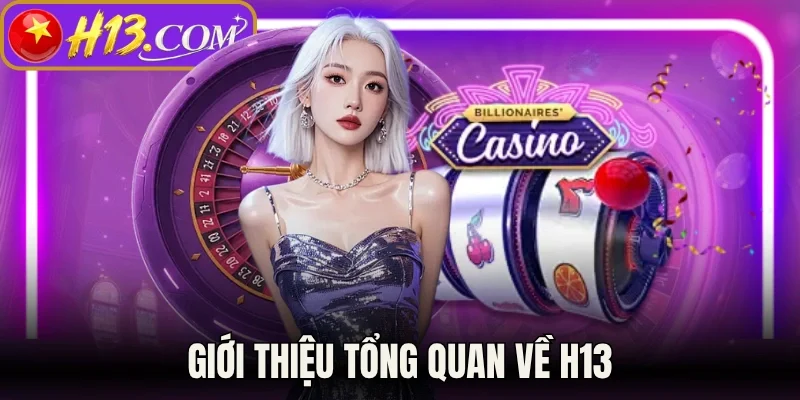 Giới thiệu tổng quan về H13